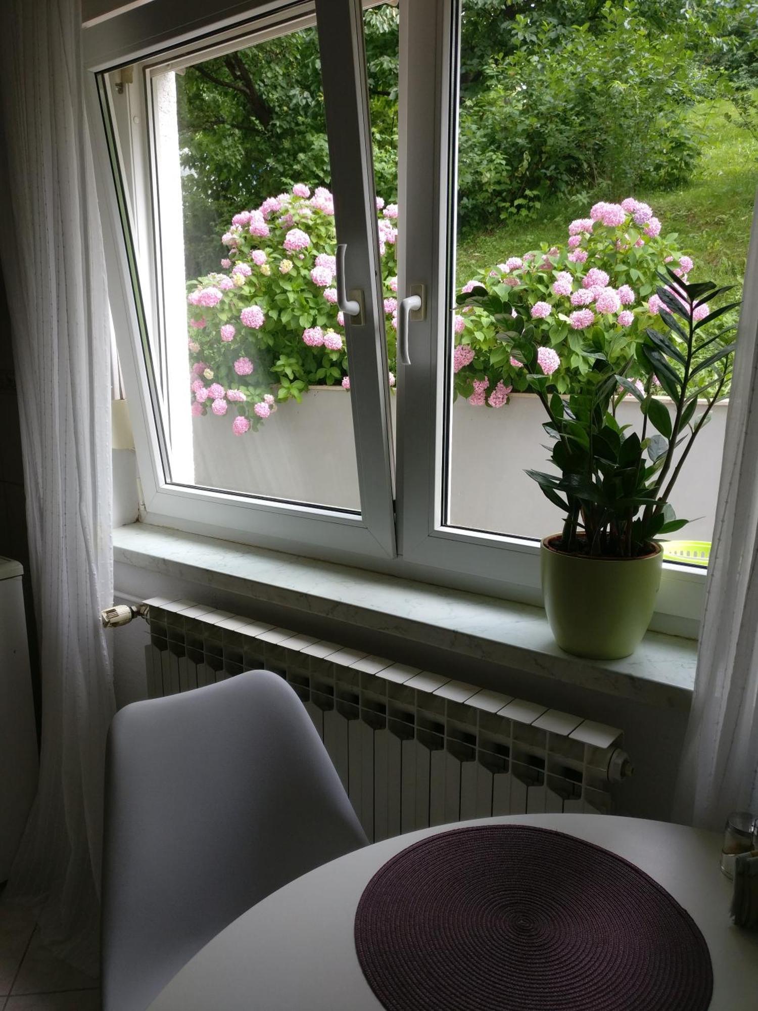 Apartman Malina カルロヴァッツ エクステリア 写真